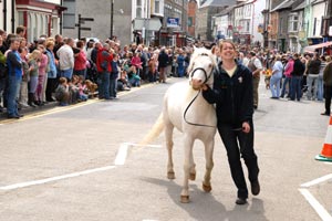 Hunting Display at Cardigan Show