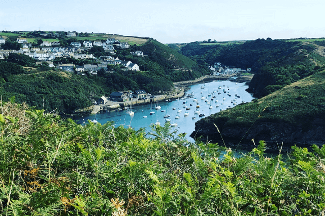 Arial shot of Solva Harbour