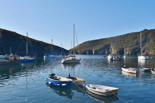 Boats in Solva Harbour.