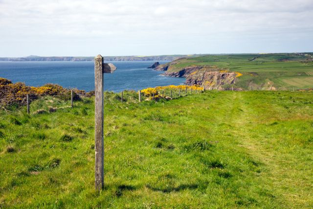 Pembrokeshire Coastal Path St Bride's Bay.