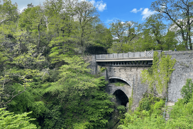 The Bridge at Devil's Falls