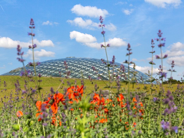 National Botanic Garden of Wales