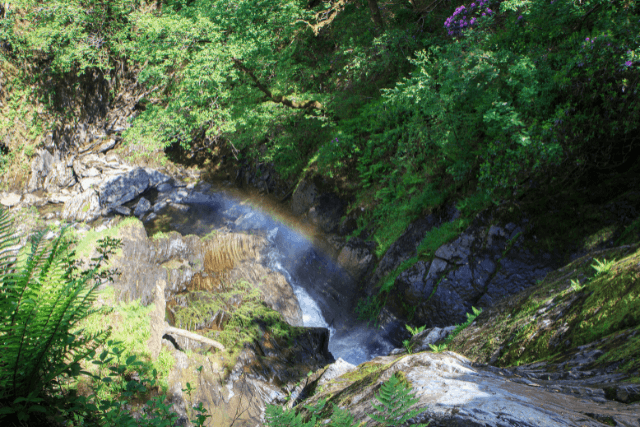 A waterfall over the Devil Bridge Falls