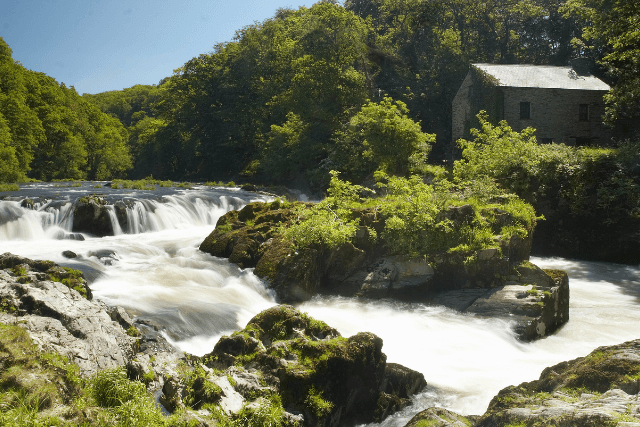 Cenarth Falls and the Mill
