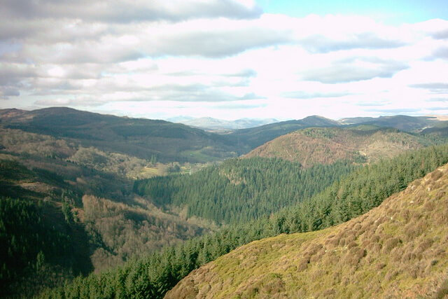 Coed-y-Brenin, Gwynedd