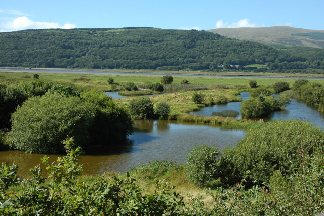 Ynys-Hir Nature Reserve, Powys
