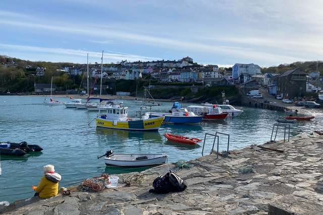 Boats moored up at New Quay Habour in Wales.