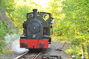 Tal y Llyn Railway